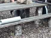 img-20201003-wa0089