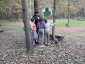 img-20201003-wa0092