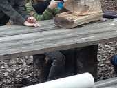 img-20201003-wa0095