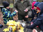img-20201024-wa0060